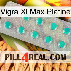 Vigra Xl Max Platinum 28